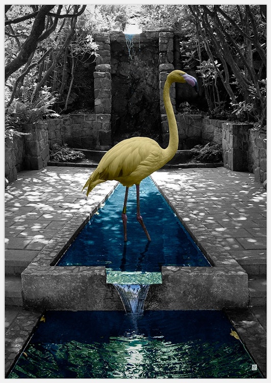 Golden Flamingo Art Print