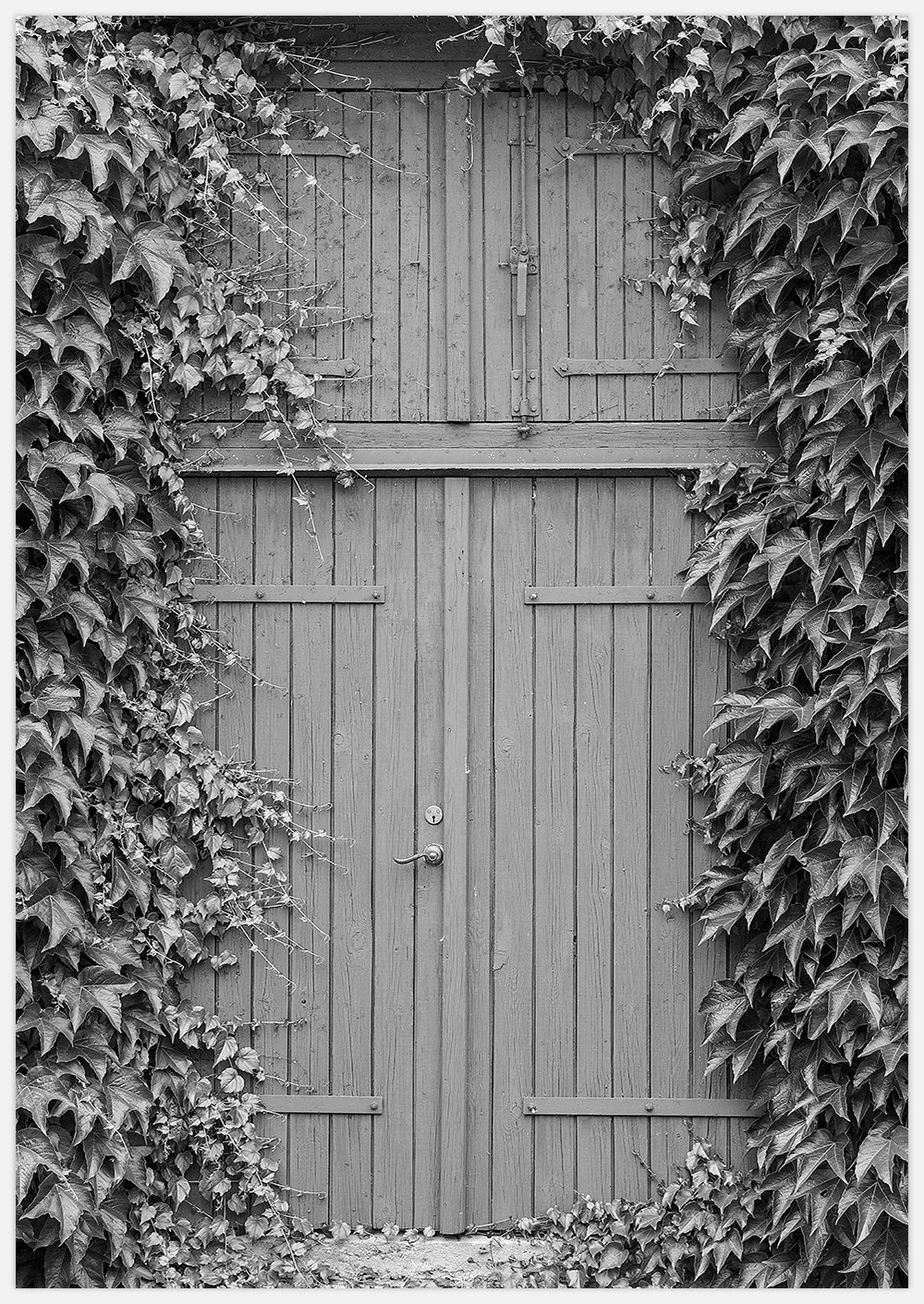 Tavla med fotokonst gammal träport i svartvitt,. Old wooden doorway. Fotograferad av Insplendor art studio i Sverige.