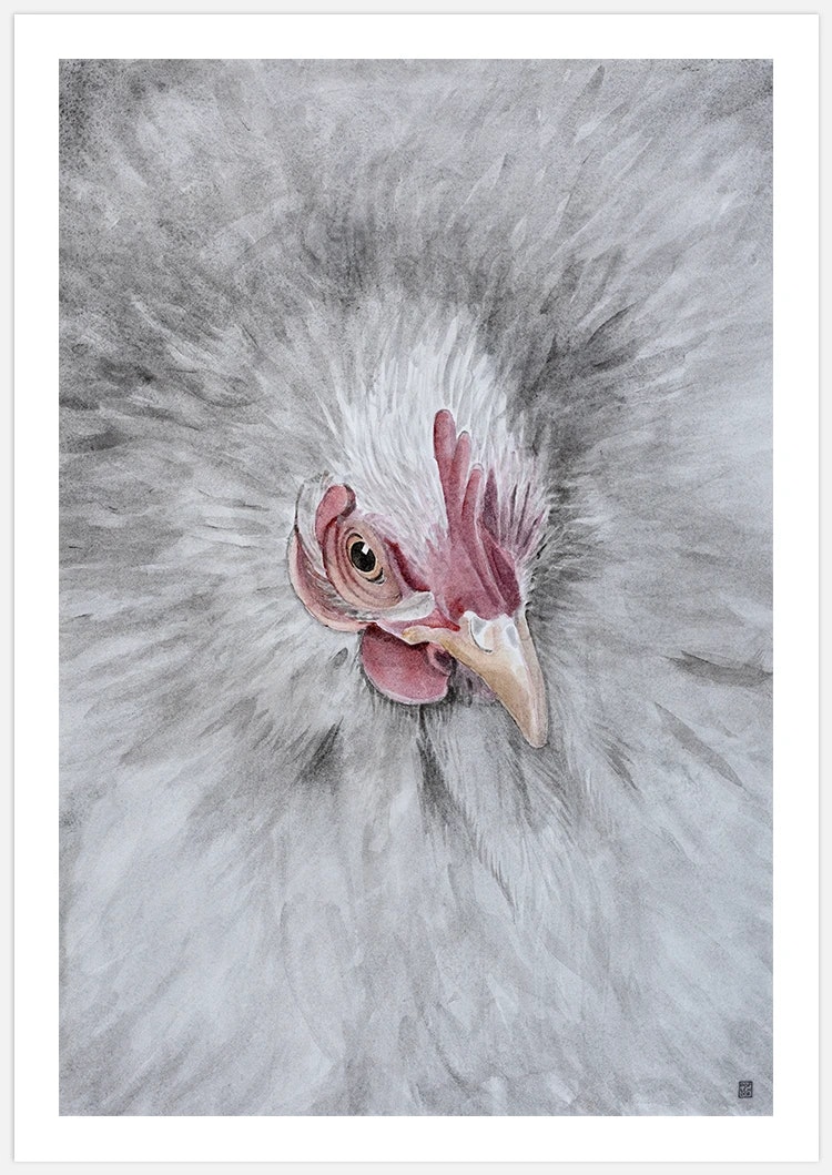 Hen Art Print