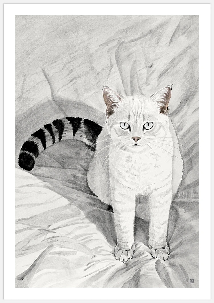 Cookie the Cat Art Print