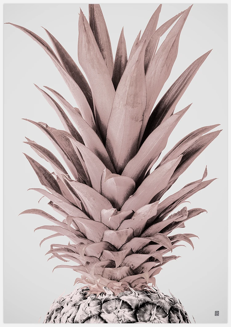 Light Pink Pineapple Art Print