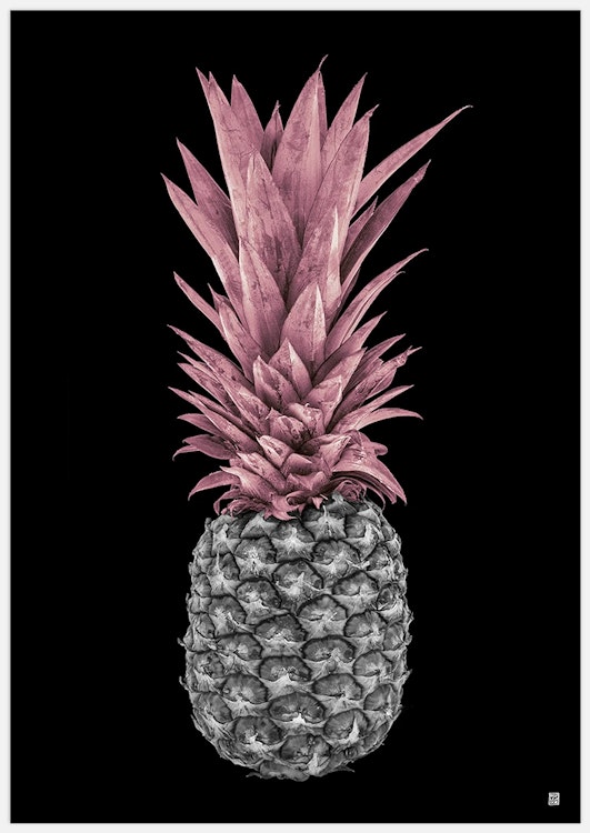 Pink Pineapple on Black Art Print