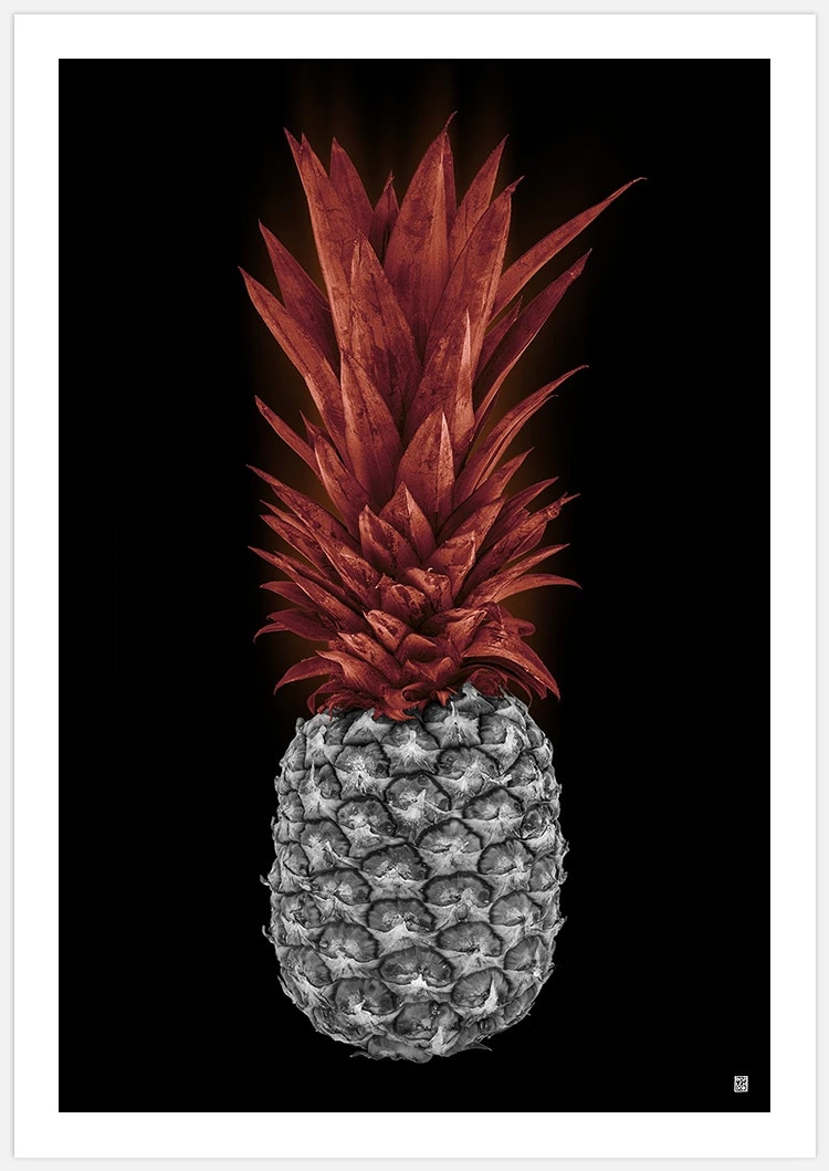 Vulcano Pineapple Art Print