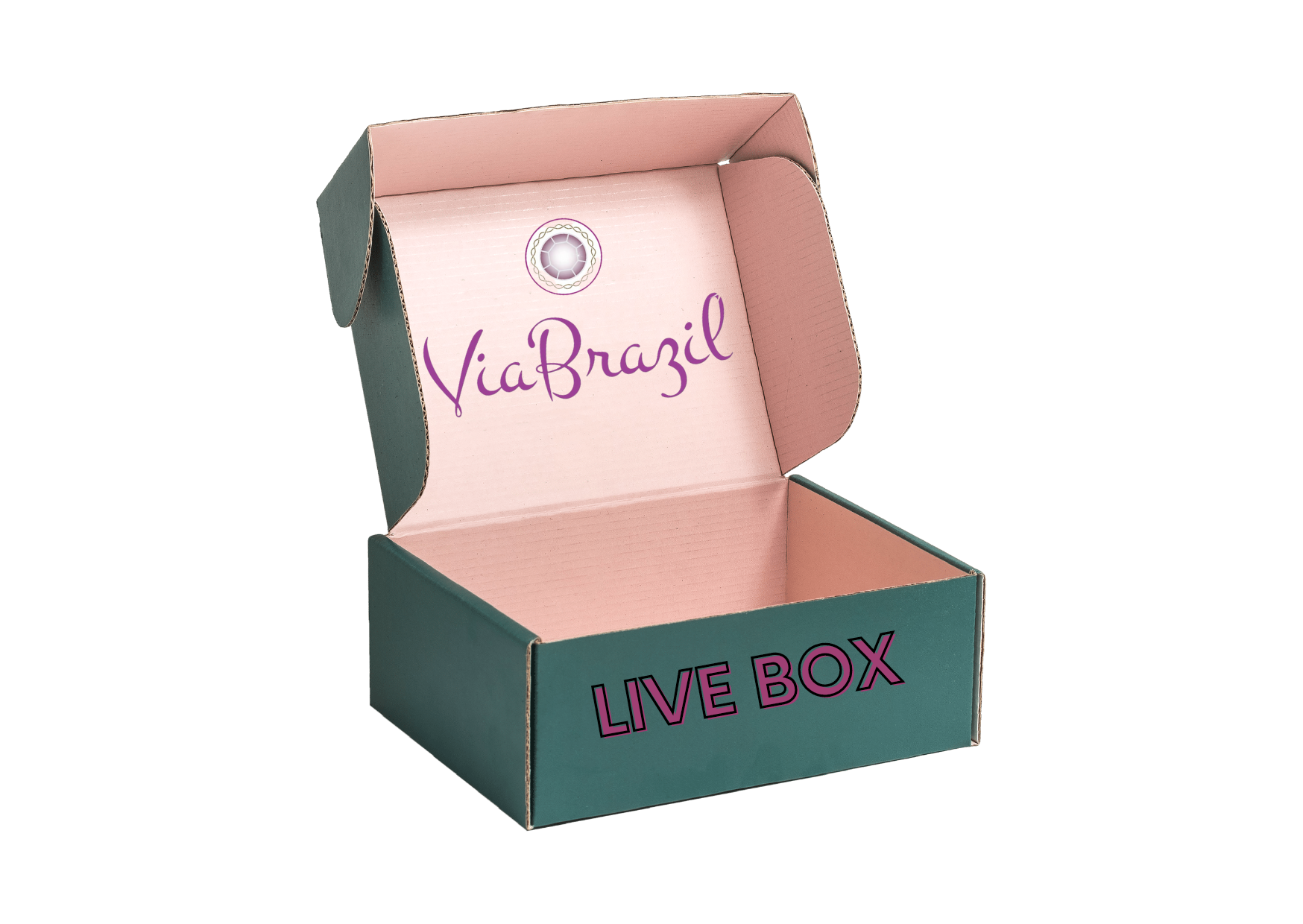Livebox154 salviabunt