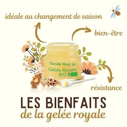 Rent Färskt Bidrottninggelé/ Pure Royal Jelly/ Gelée Royale 10 g