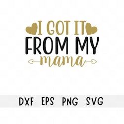 Got it from my mama - Kuttefil