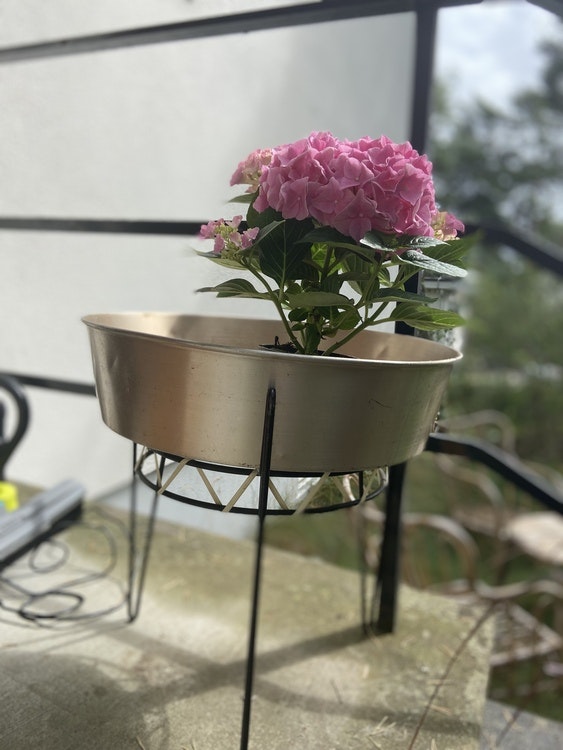 Blombord