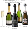 Champagne / Vinkork - Vakuum försluter - Stopper Svart