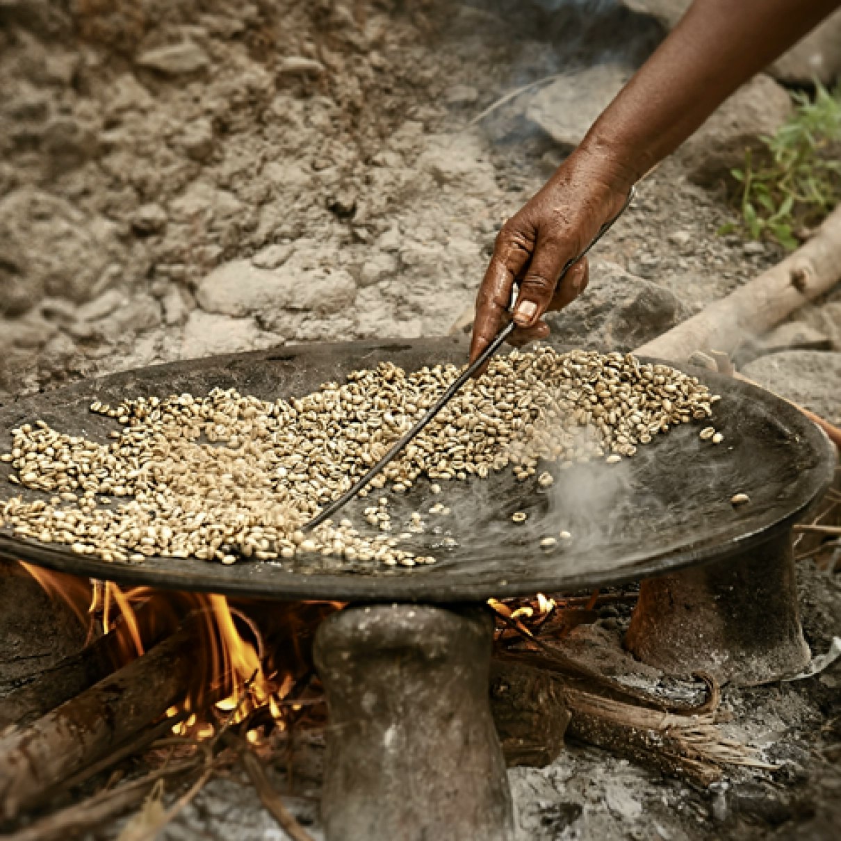 Zoegas Experience Ethiopia 8x750g
