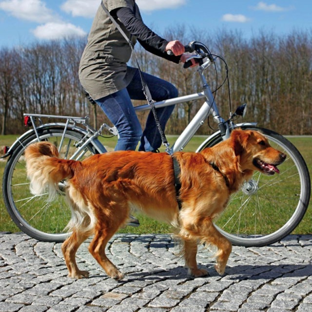 Trixie, cykel- & joggingkoppel, svart