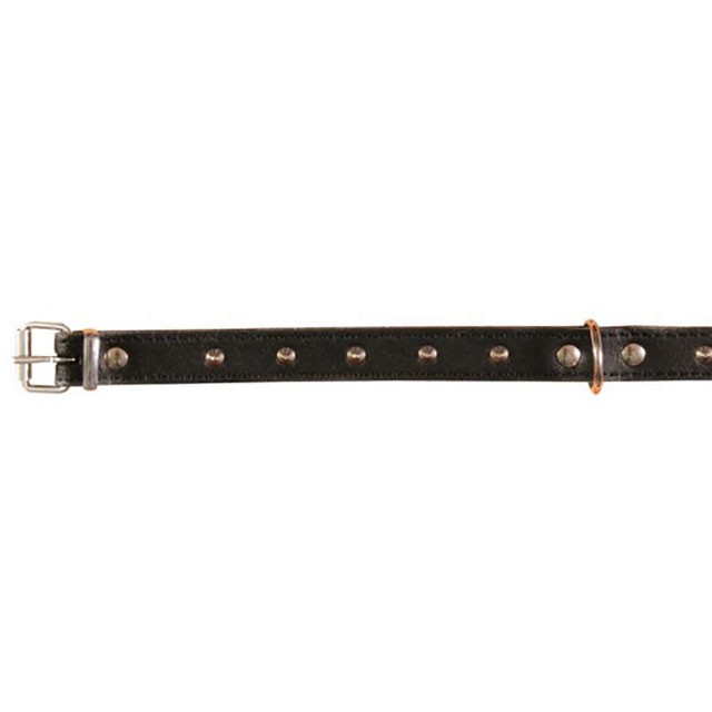 Trixie, läderhalsband m. nitar, 16mm/33-39cm, svart