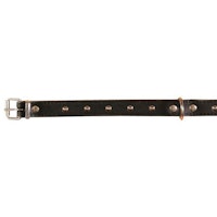 Trixie, läderhalsband m. nitar, 16mm/33-39cm, svart
