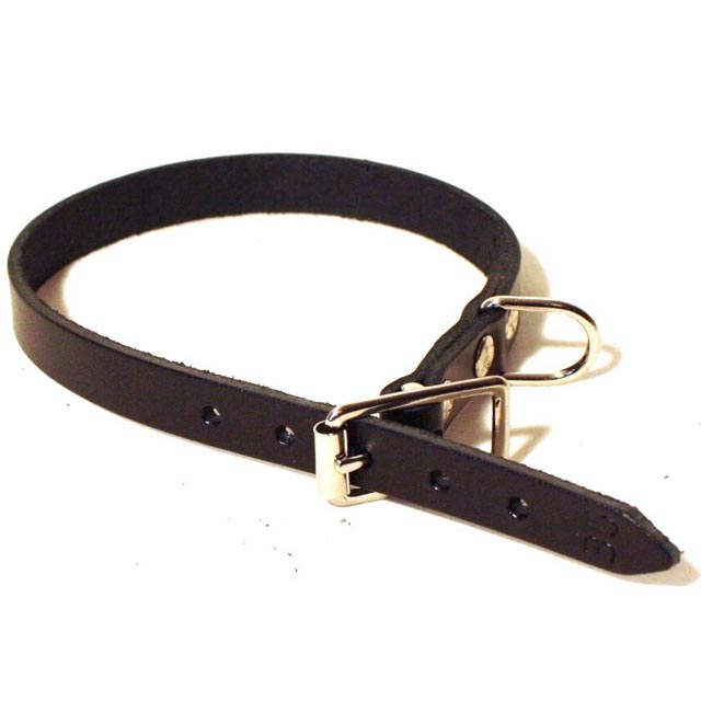 Limex, läderhalsband, brun, 2,5 cm x 70 cm