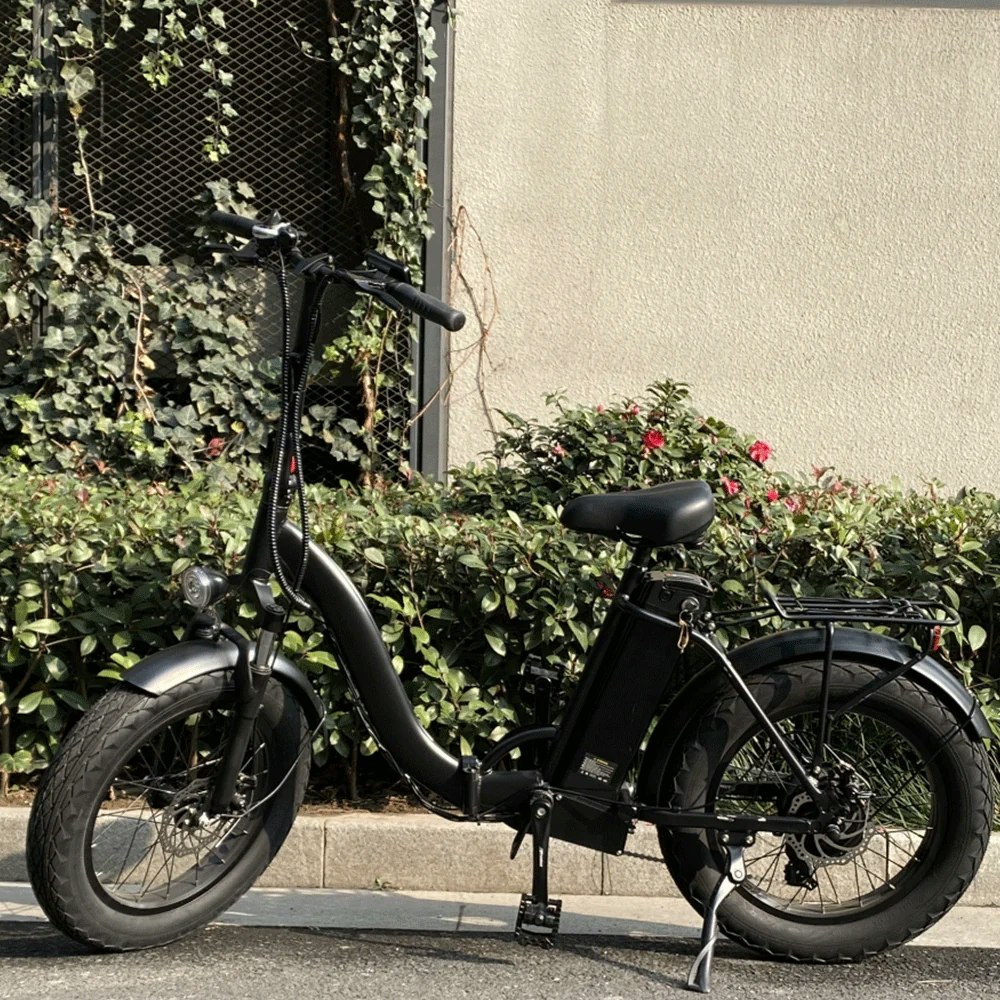 Dagebos F20 Elcykel för Damer