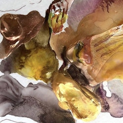 Anastasia Pather Marigold Oyster kuddfodral i sammet 60 x 60 cm