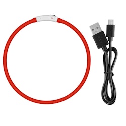 LED Hundhalsband USB