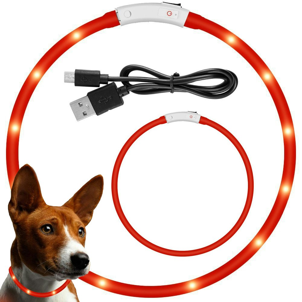 LED Hundhalsband USB