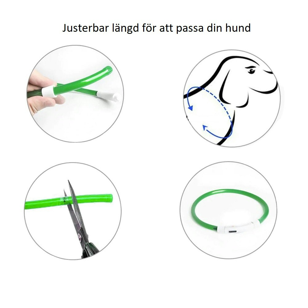 LED Hundhalsband USB