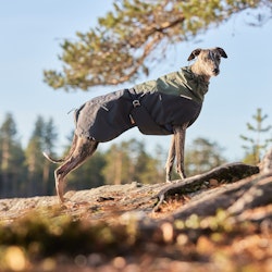 Glacier Wool Dog Jacket 2.0, green/grey