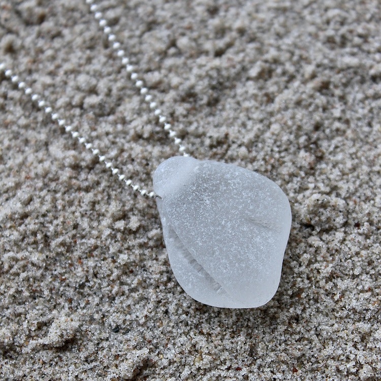 Some Kind Of Seashell halsband