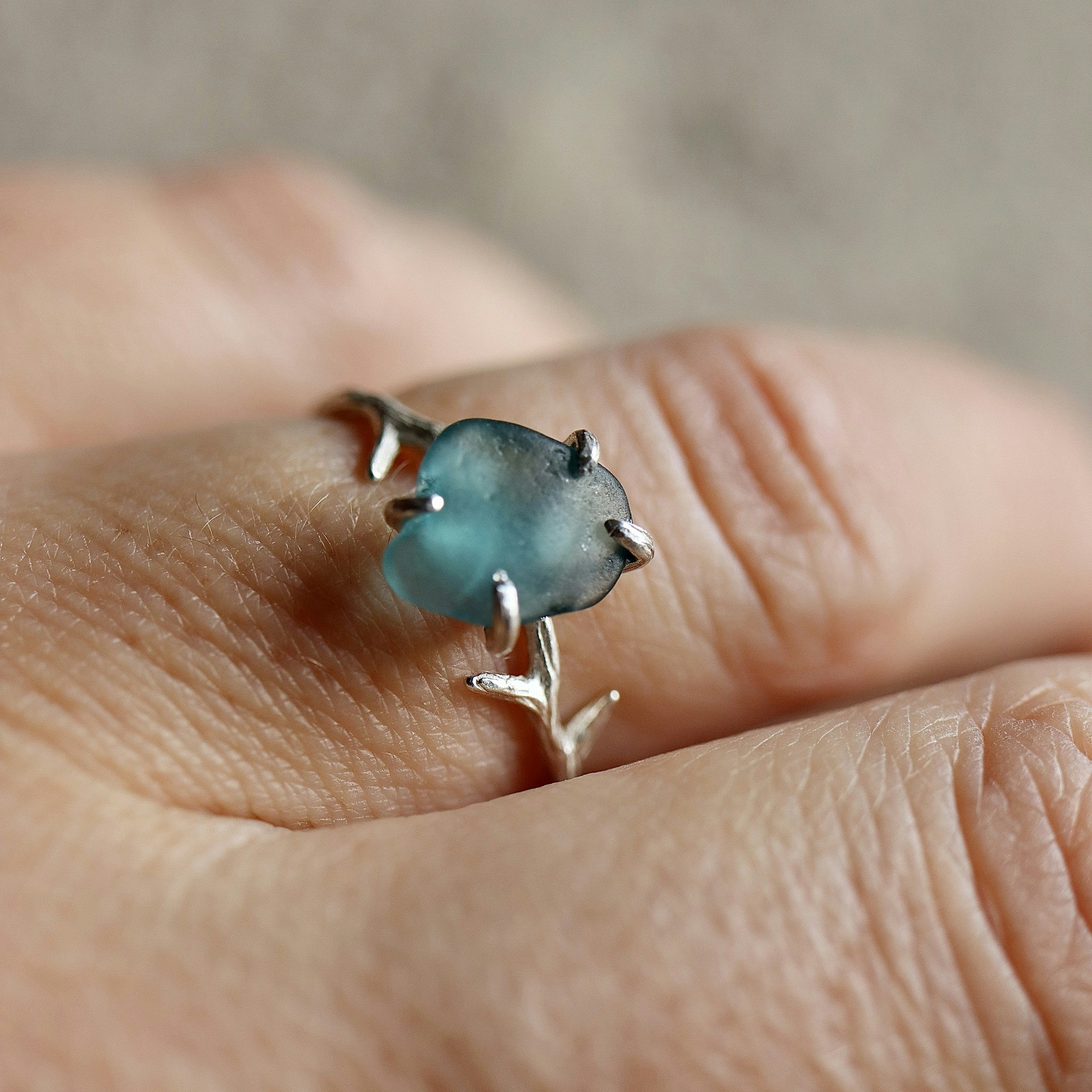 Aquatic ring