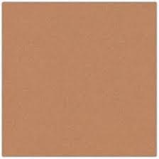 Cardstock - 12x12 - brunvarmbeige 966