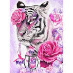 Tiger - Diamond Painting  5D - 30x20