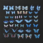 Sstickers till scrapbooking - fjärilar - 40st