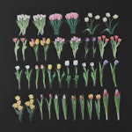 Stickers till scrapbooking - blommor - 40st