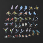 Stickers till scrapbooking - fåglar - 40st