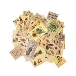 Stickers till scrapbooking - olika mönster - 50st