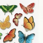 Stickers till scrapbooking - fjärilar - 10-ark