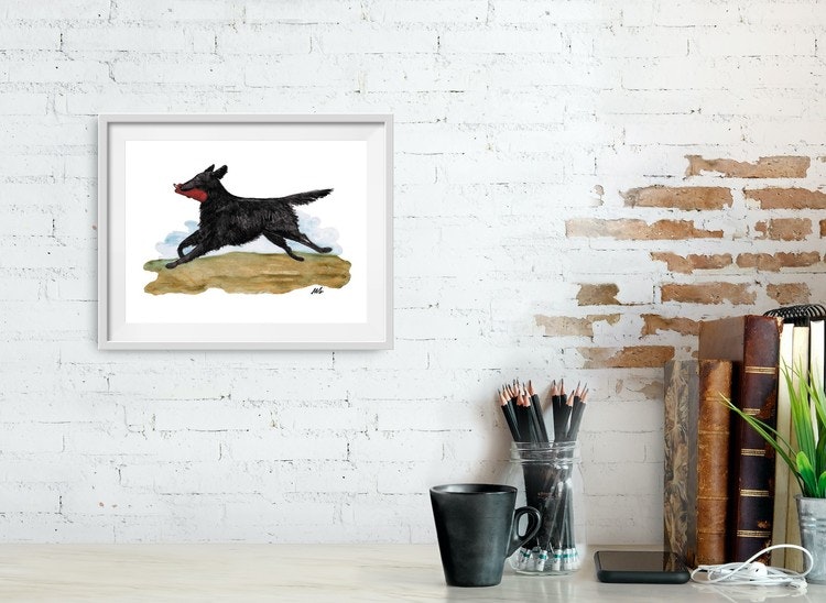 APPORT, SVART FLATCOATED RETRIEVER – print 40x30