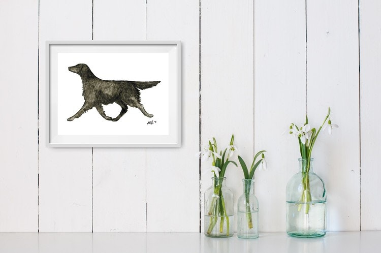 FLATCOATED RETRIEVER – print 40x30