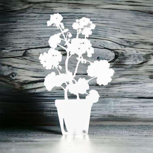 PELARGON - blomma i vit plåt