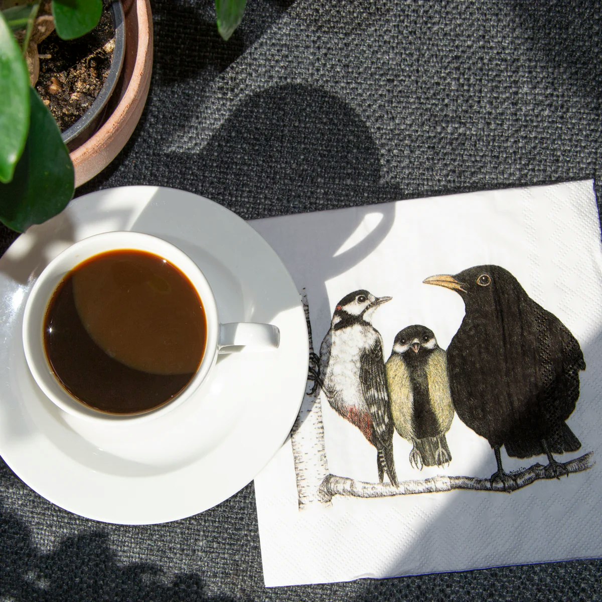 MORNING CONVERSATION FÅGLARNA – servetter
