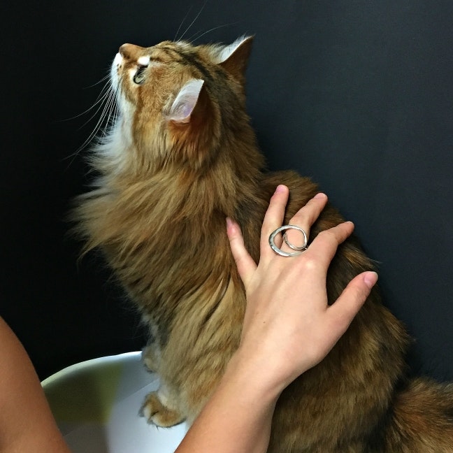 Alissa - Silverring med design som sticker ut