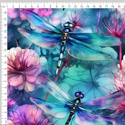 BLUE RAINBOW DRAGONFLY