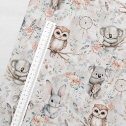 DREAMCATCHER FT