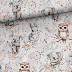 DREAMCATCHER FT