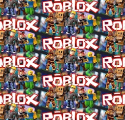 ROBLOX X FT 1METER