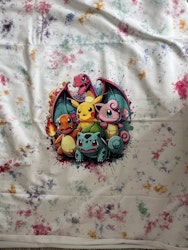 PIKACHU 5 FRIENDS PANEL FT