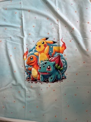 PIKACHU 3 FRIENDS PANEL FT