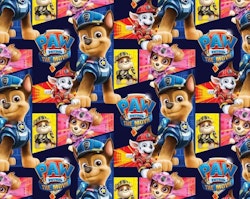 PAW PATROL FRAMES FT 1METER