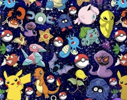 POKÉMON JERSEY