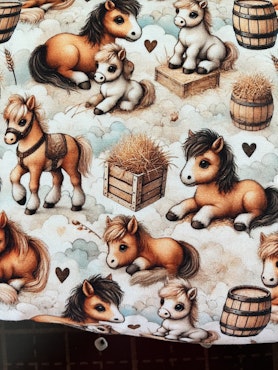 PONNIES