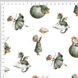 DRAGONS ON CLOUD