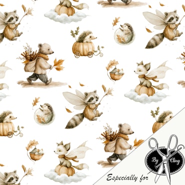 RACOON FAIRY