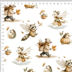 RACOON FAIRY