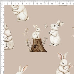 WHITE BUNNY